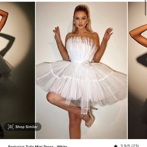 FASHION NOVA TULLE MINI DRESS